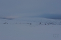 Pallas-Yllästunturi National Park