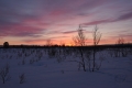 Pöyrisjärvi Eilderness Area