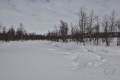 Pöyrisjärvi Eilderness Area