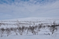 Pöyrisjärvi Eilderness Area
