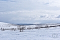 Pöyrisjärvi Eilderness Area