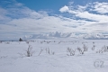 Pöyrisjärvi Eilderness Area