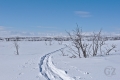 Pöyrisjärvi Wilderness Area