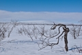 Pöyrisjärvi Eilderness Area