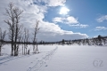 Pöyrisjärvi Eilderness Area