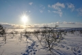 Pöyrisjärvi Eilderness Area