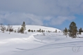 Välivaara