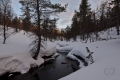 Rautujoki