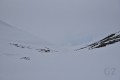 Porttikuru