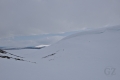 Porttikuru