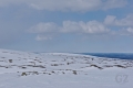Ylläs-Pallas National Park