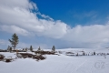 Ylläs-Pallas National Park