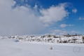 Ylläs-Pallas National Park
