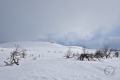Ylläs-Pallas National Park