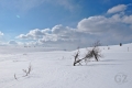 Ylläs-Pallas National Park