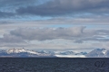 Glacier