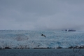 Nordenskiöldbreen Nordenskiöldbreen
