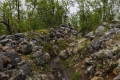 Järämä Fortifications