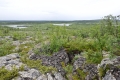 Järämä Fortifications