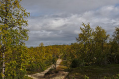 Trail