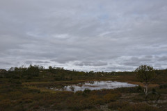 Kalmakaltio