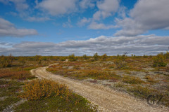 Trail