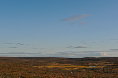 Tundra