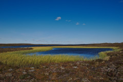 Tundra lake
