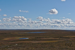 Tundra