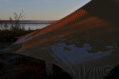 Morning frost