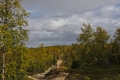 Trail