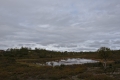 Kalmakaltio