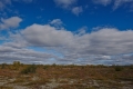 Pöyrisjärvi Wilderness Area