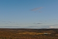 Tundra