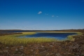 Tundra lake