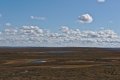 Tundra