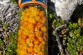 Cloudberries