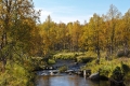 Sukisjoki