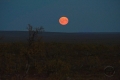Moonrise