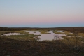 Pond