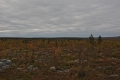 Ruska