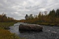 Ruska at Pöyrisjoki