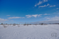 Kalmakaltio