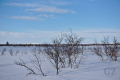 Kalmakaltio