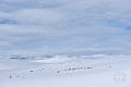 Käsivarsi Wilderness Area Käsivarsi Wilderness Area