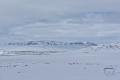 Käsivarsi Wilderness Area