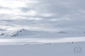 Käsivarsi Wilderness Area Käsivarsi Wilderness Area