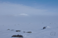 Käsivarsi Wilderness Area