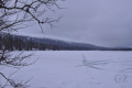 Suasjärvi