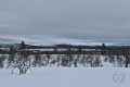 Pallastunturi